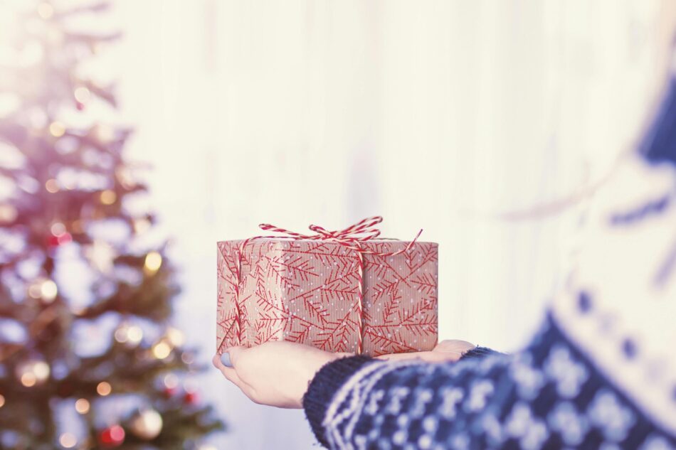 pexels-jeshoots-com-147458-714697 cropped