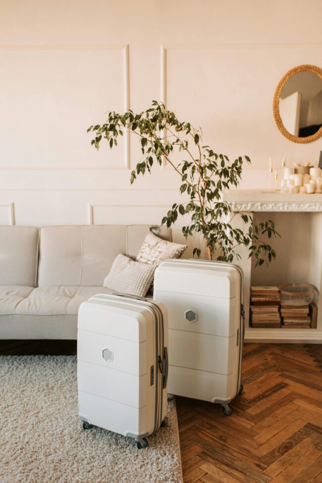 pexels-vlada-karpovich-7368313