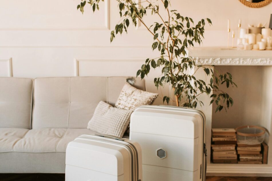 pexels-vlada-karpovich-7368313